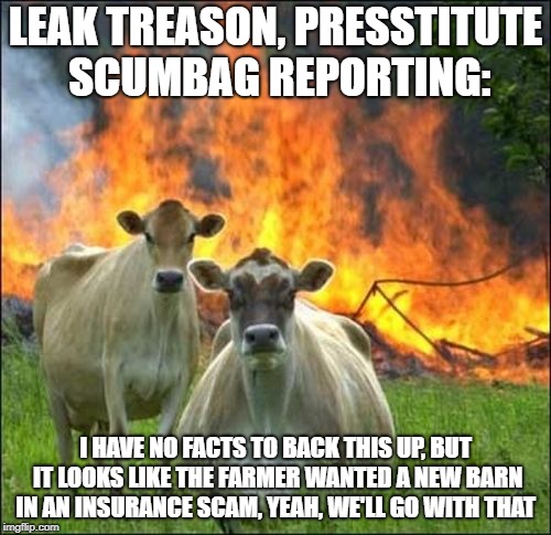 Leak Treason reports #4 | LEAK TREASON, PRESSTITUTE SCUMBAG REPORTING:; I HAVE NO FACTS TO BACK THIS UP, BUT IT LOOKS LIKE THE FARMER WANTED A NEW BARN IN AN INSURANCE SCAM, YEAH, WE'LL GO WITH THAT | image tagged in memes,evil cows,fake news | made w/ Imgflip meme maker