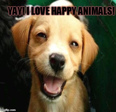 YAY! I LOVE HAPPY ANIMALS! | made w/ Imgflip meme maker