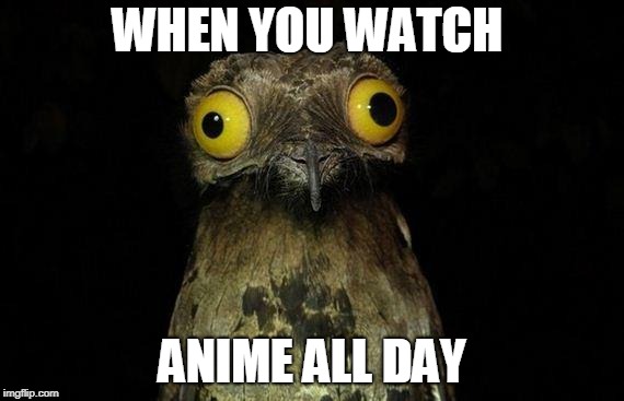 Weird Stuff I Do Potoo Meme | WHEN YOU WATCH; ANIME ALL DAY | image tagged in memes,weird stuff i do potoo | made w/ Imgflip meme maker