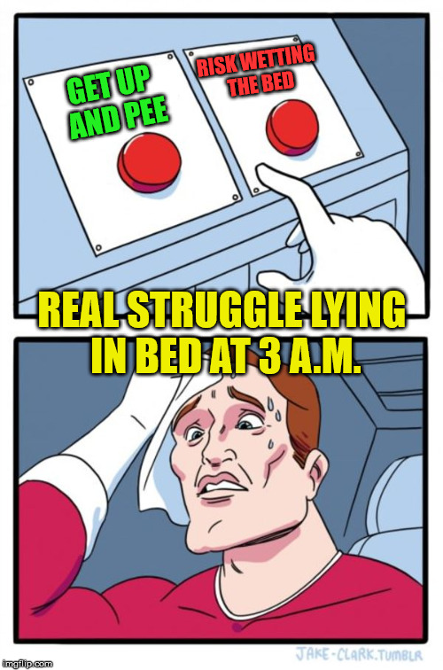 Two Button Decision | RISK WETTING THE BED; GET UP AND PEE; REAL STRUGGLE LYING IN BED AT 3 A.M. | image tagged in memes,two buttons,decisions decisions,first world problems | made w/ Imgflip meme maker