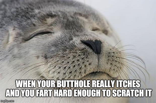 When it REALLY itches | WHEN YOUR BUTTHOLE REALLY ITCHES AND YOU FART HARD ENOUGH TO SCRATCH IT | image tagged in memes,satisfied seal | made w/ Imgflip meme maker