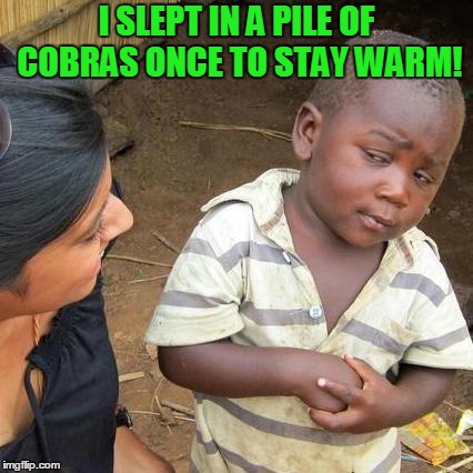 You think you got it tough!? | I SLEPT IN A PILE OF COBRAS ONCE TO STAY WARM! | image tagged in memes,third world skeptical kid,one upping | made w/ Imgflip meme maker