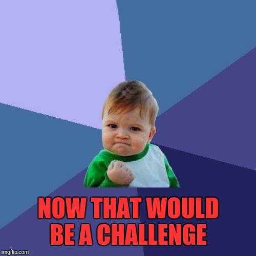 Success Kid Meme | NOW THAT WOULD BE A CHALLENGE | image tagged in memes,success kid | made w/ Imgflip meme maker