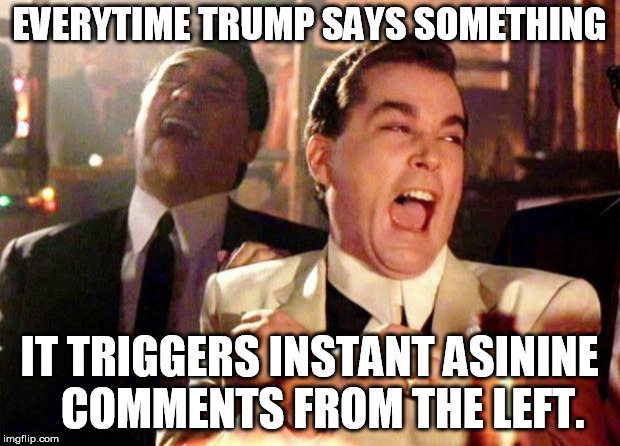 Wise guys laughing | EVERYTIME TRUMP SAYS SOMETHING; IT TRIGGERS INSTANT ASININE   COMMENTS FROM THE LEFT. | image tagged in wise guys laughing | made w/ Imgflip meme maker