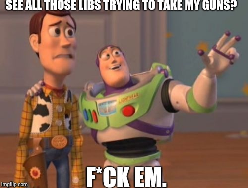 Idiots, idiots everywhere. | SEE ALL THOSE LIBS TRYING TO TAKE MY GUNS? F*CK EM. | image tagged in memes,x x everywhere | made w/ Imgflip meme maker