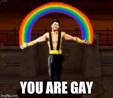 You are gay | YOU ARE GAY | image tagged in shang tsung friendship,shang tsung | made w/ Imgflip meme maker