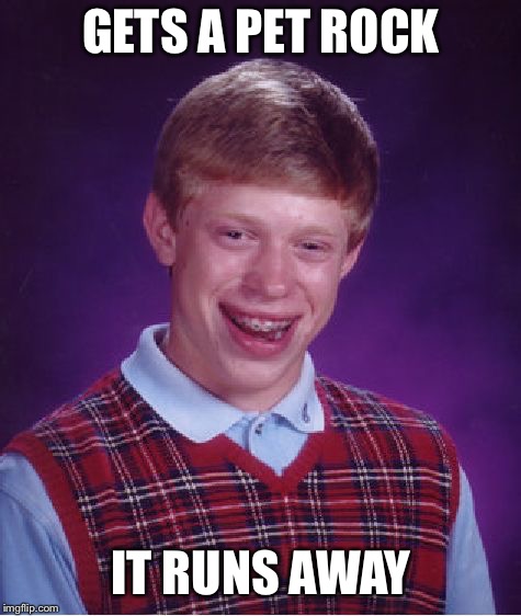 If I took it off of another meme site, is it still considered meme stealing on the site you posted it on? | GETS A PET ROCK; IT RUNS AWAY | image tagged in memes,bad luck brian | made w/ Imgflip meme maker