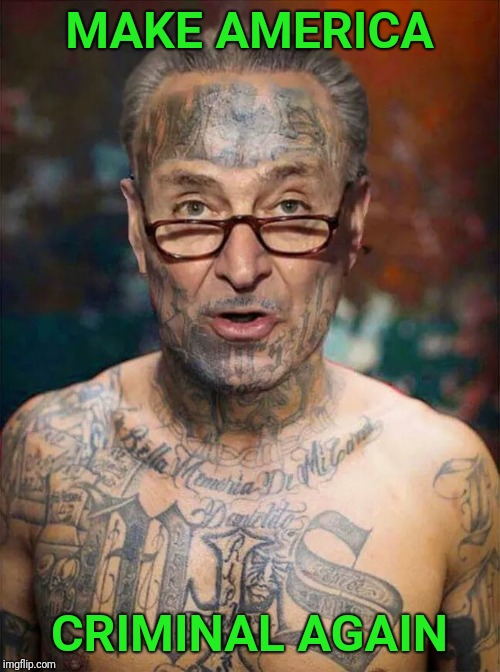 The DNC goes MACA |  MAKE AMERICA; CRIMINAL AGAIN | image tagged in maga,chuck schumer,chuck schumer crying,dnc,gangs,illegal immigration | made w/ Imgflip meme maker