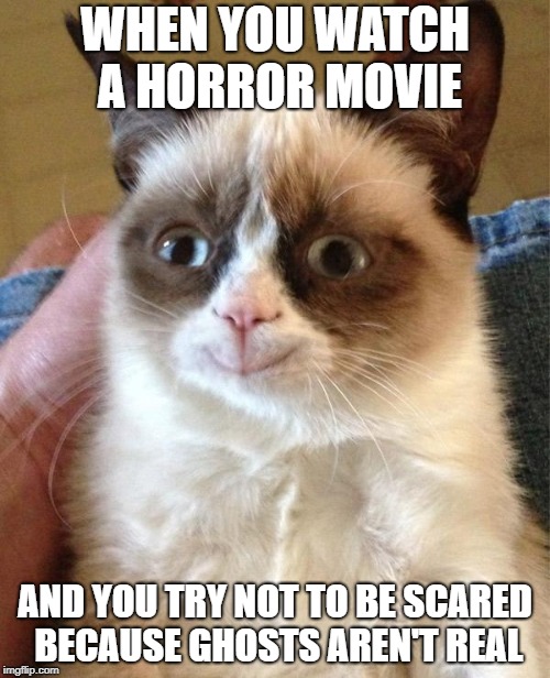 Grumpy Cat Happy | WHEN YOU WATCH A HORROR MOVIE; AND YOU TRY NOT TO BE SCARED BECAUSE GHOSTS AREN'T REAL | image tagged in memes,grumpy cat happy,grumpy cat | made w/ Imgflip meme maker