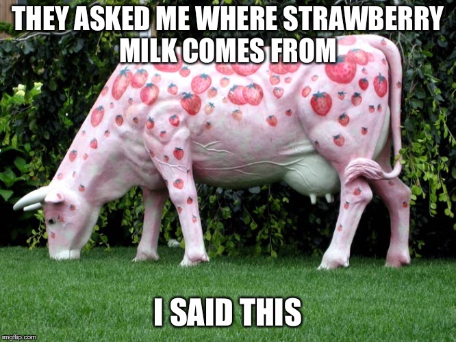 Strawberry Milk | THEY ASKED ME WHERE STRAWBERRY MILK COMES FROM; I SAID THIS | image tagged in strawberry milk | made w/ Imgflip meme maker