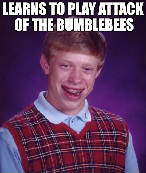 Bad Luck Brian Meme | LEARNS TO PLAY ATTACK OF THE BUMBLEBEES | image tagged in memes,bad luck brian | made w/ Imgflip meme maker