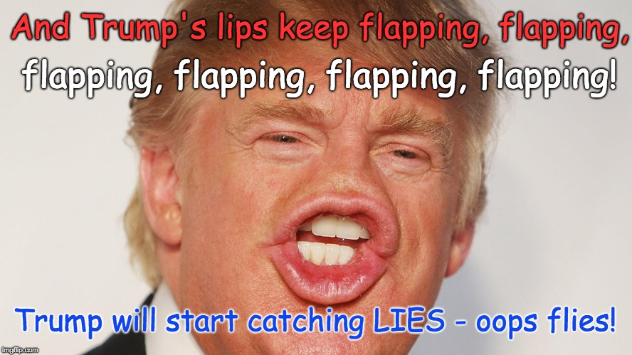 Trump Flapping Lips - gonna catch some LIES oops flies. | flapping, flapping, flapping, flapping! And Trump's lips keep flapping, flapping, Trump will start catching LIES - oops flies! | image tagged in lies,trump,trump flapping lips,flies,trump makes me yawn | made w/ Imgflip meme maker