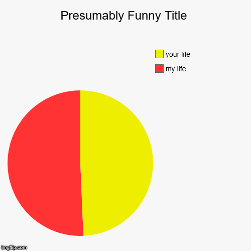my life, your life | image tagged in funny,pie charts | made w/ Imgflip chart maker