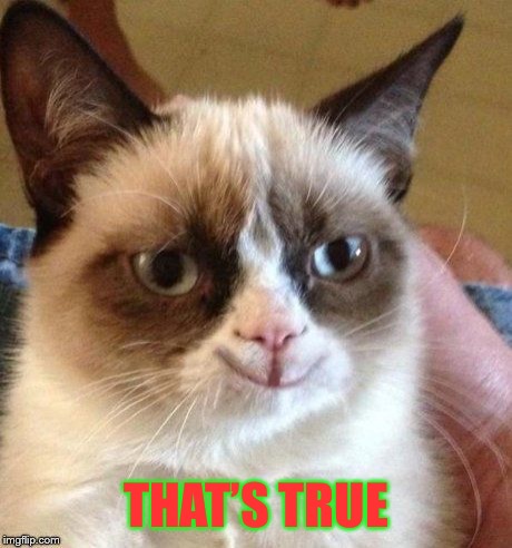 grumpy smile | THAT’S TRUE | image tagged in grumpy smile | made w/ Imgflip meme maker