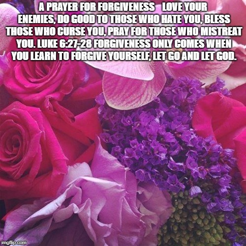 Flowers | A PRAYER FOR FORGIVENESS



LOVE YOUR ENEMIES, DO GOOD TO THOSE WHO HATE YOU, BLESS THOSE WHO CURSE YOU, PRAY FOR THOSE WHO MISTREAT YOU. LUKE 6:27-28
FORGIVENESS ONLY COMES WHEN YOU LEARN TO FORGIVE YOURSELF, LET GO AND LET GOD. | image tagged in flowers | made w/ Imgflip meme maker
