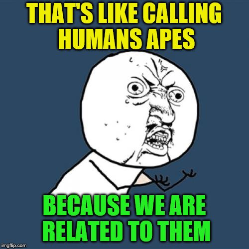 Y U No Meme | THAT'S LIKE CALLING HUMANS APES BECAUSE WE ARE RELATED TO THEM | image tagged in memes,y u no | made w/ Imgflip meme maker