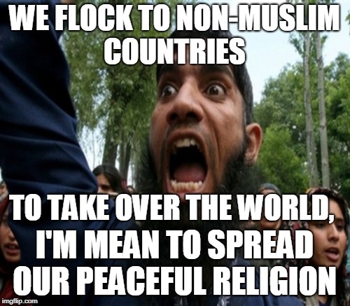 WE FLOCK TO NON-MUSLIM COUNTRIES I'M MEAN TO SPREAD OUR PEACEFUL RELIGION TO TAKE OVER THE WORLD, | made w/ Imgflip meme maker