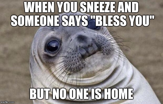 Awkward Moment Sealion | WHEN YOU SNEEZE AND SOMEONE SAYS "BLESS YOU"; BUT NO ONE IS HOME | image tagged in memes,awkward moment sealion | made w/ Imgflip meme maker
