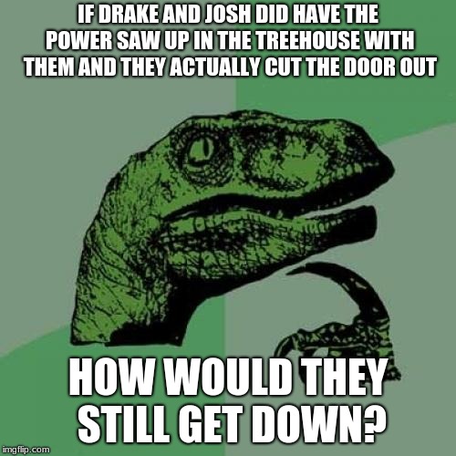Yeah, they never had a ladder. | IF DRAKE AND JOSH DID HAVE THE POWER SAW UP IN THE TREEHOUSE WITH THEM AND THEY ACTUALLY CUT THE DOOR OUT; HOW WOULD THEY STILL GET DOWN? | image tagged in memes,philosoraptor,drake and josh,treehouse,nickelodeon | made w/ Imgflip meme maker