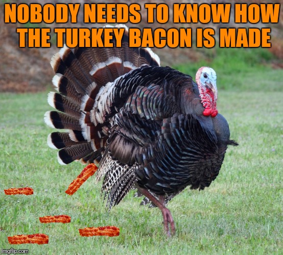 NOBODY NEEDS TO KNOW HOW THE TURKEY BACON IS MADE | made w/ Imgflip meme maker