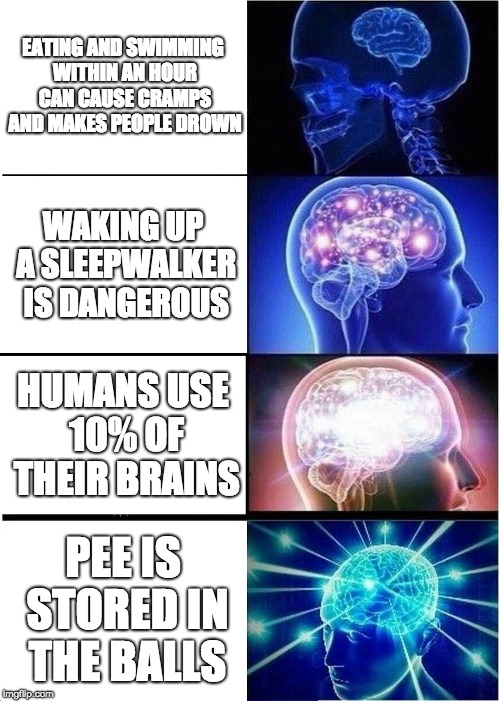 Expanding Brain Meme | EATING AND SWIMMING WITHIN AN HOUR CAN CAUSE CRAMPS AND MAKES PEOPLE DROWN; WAKING UP A SLEEPWALKER IS DANGEROUS; HUMANS USE 10% OF THEIR BRAINS; PEE IS STORED IN THE BALLS | image tagged in memes,expanding brain | made w/ Imgflip meme maker