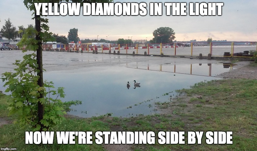 YELLOW DIAMONDS IN THE LIGHT; NOW WE'RE STANDING SIDE BY SIDE | image tagged in first world problems,awkward moment sealion | made w/ Imgflip meme maker