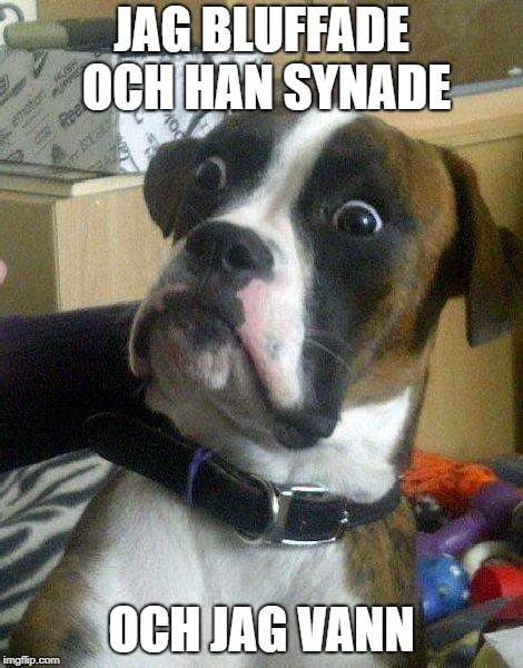 Surprised Dog | JAG BLUFFADE OCH HAN SYNADE OCH JAG VANN | image tagged in surprised dog | made w/ Imgflip meme maker