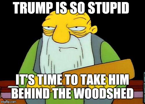 That's a paddlin' Meme | TRUMP IS SO STUPID; IT'S TIME TO TAKE HIM BEHIND THE WOODSHED | image tagged in memes,that's a paddlin' | made w/ Imgflip meme maker