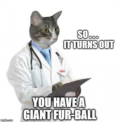 Dr. Jack. Medical Cat.  | SO . . . IT TURNS OUT; YOU HAVE A GIANT FUR-BALL | image tagged in i play one on tv,doctor,cat,the most interesting cat in the world,furball,healthcare | made w/ Imgflip meme maker