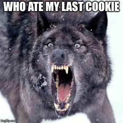 Angry Wolf | WHO ATE MY LAST COOKIE | image tagged in angry wolf | made w/ Imgflip meme maker