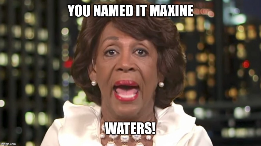 Mapeine | YOU NAMED IT MAXINE WATERS! | image tagged in mapeine | made w/ Imgflip meme maker