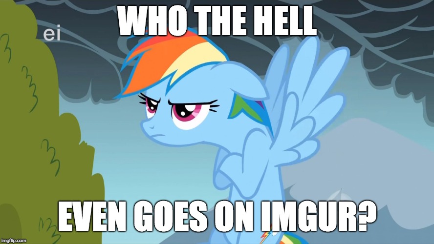 Grumpy Pony | WHO THE HELL EVEN GOES ON IMGUR? | image tagged in grumpy pony | made w/ Imgflip meme maker