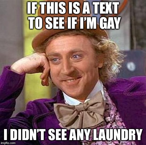 Creepy Condescending Wonka Meme | IF THIS IS A TEXT TO SEE IF I’M GAY I DIDN’T SEE ANY LAUNDRY | image tagged in memes,creepy condescending wonka | made w/ Imgflip meme maker