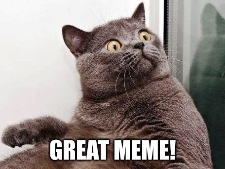 surprised cat | GREAT MEME! | image tagged in surprised cat | made w/ Imgflip meme maker