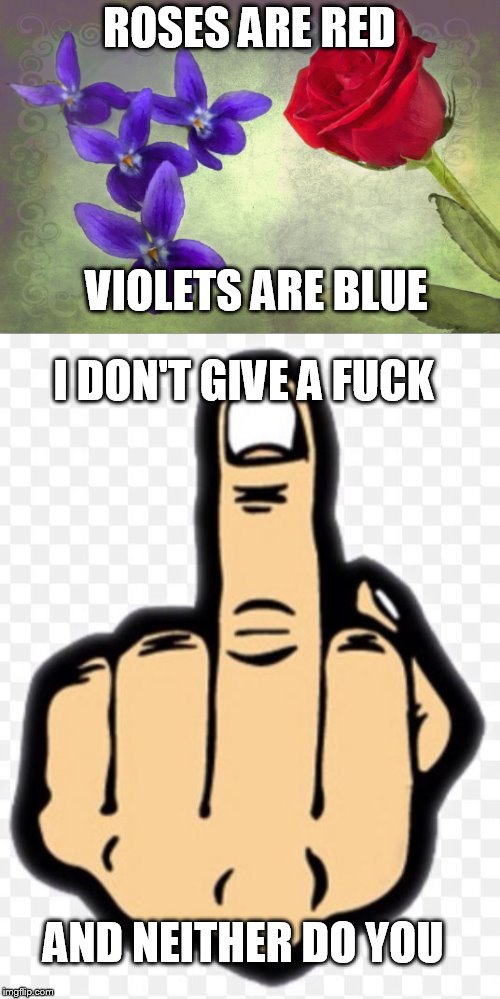 lets get a roses are red violets are blue week how about that | ROSES ARE RED; VIOLETS ARE BLUE; I DON'T GIVE A FUCK; AND NEITHER DO YOU | image tagged in i dont give a fuck,roses are red violets are blue,neither do you | made w/ Imgflip meme maker