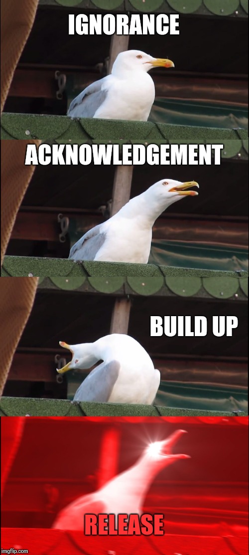 The Four Stages of Grief, as told by Seagull. | IGNORANCE; ACKNOWLEDGEMENT; BUILD UP; RELEASE | image tagged in memes,inhaling seagull,funny | made w/ Imgflip meme maker