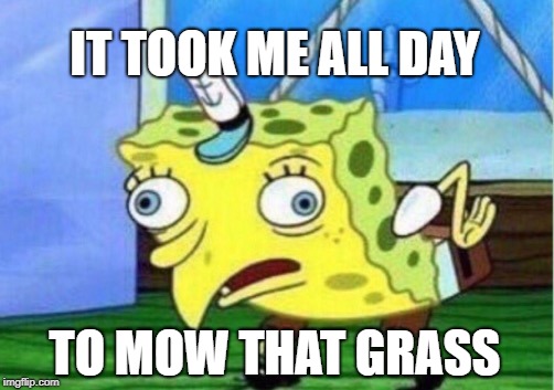 Mocking Spongebob Meme | IT TOOK ME ALL DAY TO MOW THAT GRASS | image tagged in memes,mocking spongebob | made w/ Imgflip meme maker