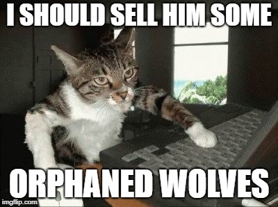 I SHOULD SELL HIM SOME ORPHANED WOLVES | made w/ Imgflip meme maker