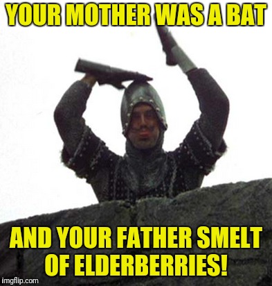 YOUR MOTHER WAS A BAT AND YOUR FATHER SMELT OF ELDERBERRIES! | made w/ Imgflip meme maker