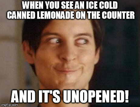 Spiderman Peter Parker Meme | WHEN YOU SEE AN ICE COLD CANNED LEMONADE ON THE COUNTER; AND IT'S UNOPENED! | image tagged in memes,spiderman peter parker | made w/ Imgflip meme maker