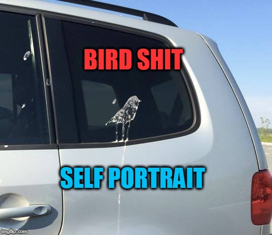 BIRD SHIT; SELF PORTRAIT | image tagged in bird shit,bird,shit,art | made w/ Imgflip meme maker