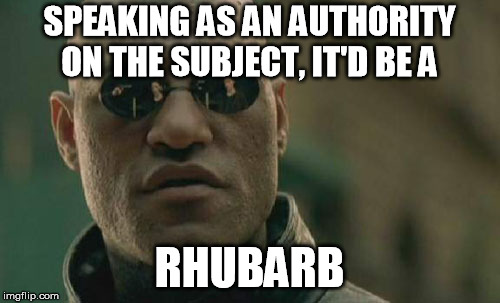 Matrix Morpheus Meme | SPEAKING AS AN AUTHORITY ON THE SUBJECT, IT'D BE A RHUBARB | image tagged in memes,matrix morpheus | made w/ Imgflip meme maker