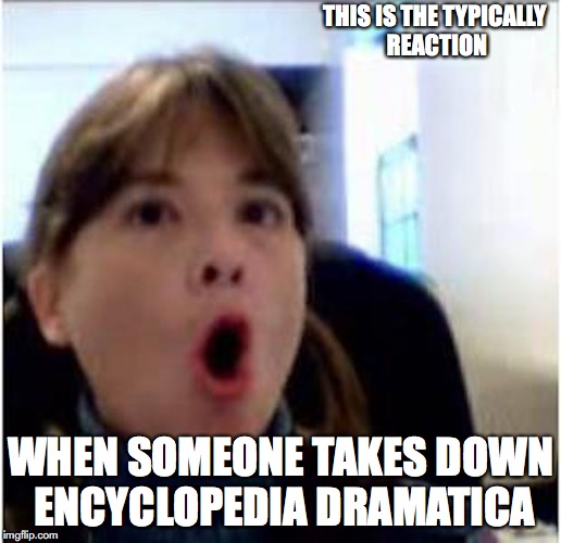 Typical Reaction When ED is Down | THIS IS THE TYPICALLY REACTION; WHEN SOMEONE TAKES DOWN ENCYCLOPEDIA DRAMATICA | image tagged in encyclopedia dramatica,memes,surprised | made w/ Imgflip meme maker