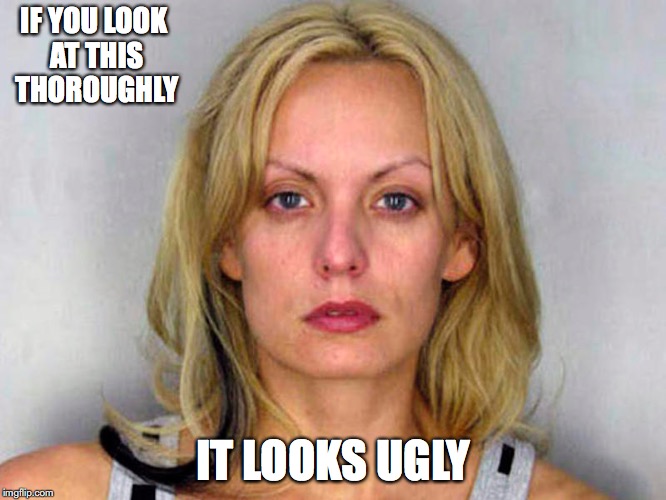 Stormy Daniels Without Makeup | IF YOU LOOK AT THIS THOROUGHLY; IT LOOKS UGLY | image tagged in stormy daniels,memes | made w/ Imgflip meme maker