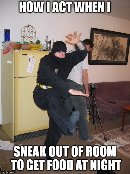 ninja | HOW I ACT WHEN I; SNEAK OUT OF ROOM TO GET FOOD AT NIGHT | image tagged in the most interesting man in the world | made w/ Imgflip meme maker