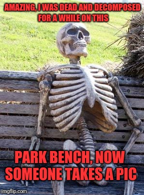 Waiting Skeleton Meme | AMAZING, I WAS DEAD AND DECOMPOSED FOR A WHILE ON THIS; PARK BENCH, NOW SOMEONE TAKES A PIC | image tagged in memes,waiting skeleton | made w/ Imgflip meme maker