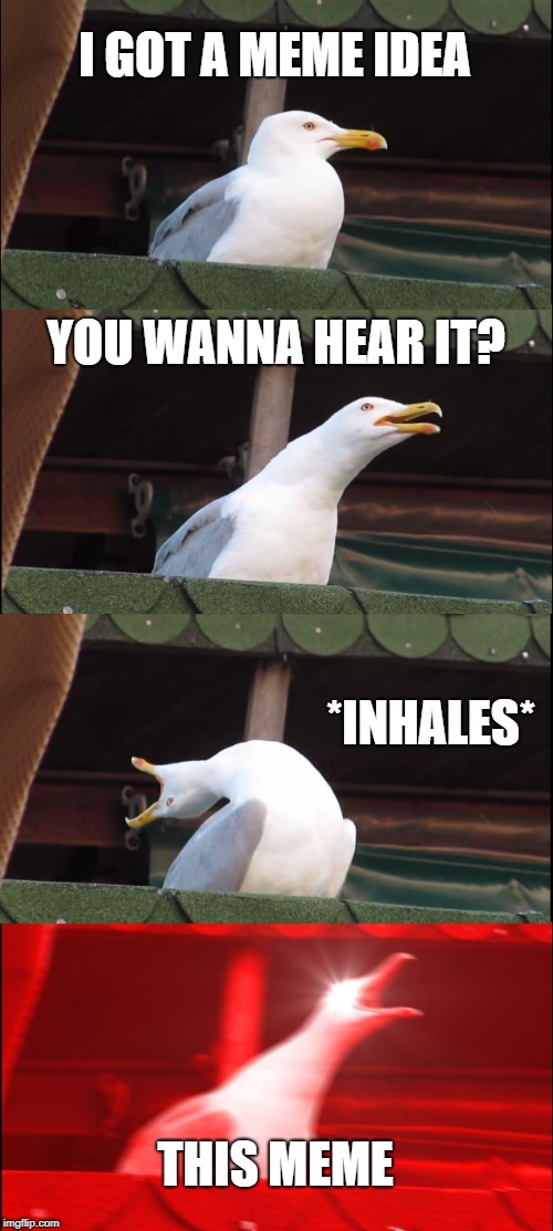 Inhaling Seagull | I GOT A MEME IDEA; YOU WANNA HEAR IT? *INHALES*; THIS MEME | image tagged in memes,inhaling seagull | made w/ Imgflip meme maker