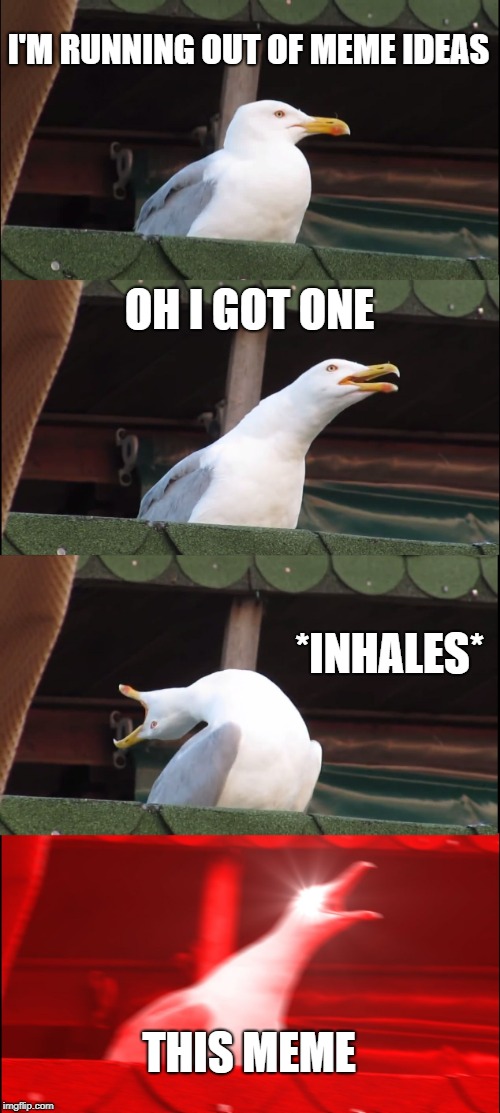 Inhaling Seagull | I'M RUNNING OUT OF MEME IDEAS; OH I GOT ONE; *INHALES*; THIS MEME | image tagged in memes,inhaling seagull | made w/ Imgflip meme maker