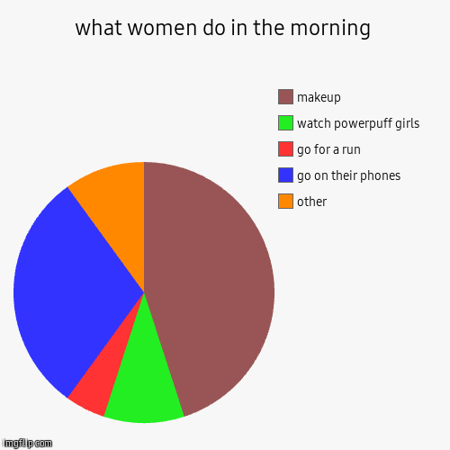 what women do in the morning | other, go on their phones, go for a run, watch powerpuff girls, makeup | image tagged in funny,pie charts | made w/ Imgflip chart maker