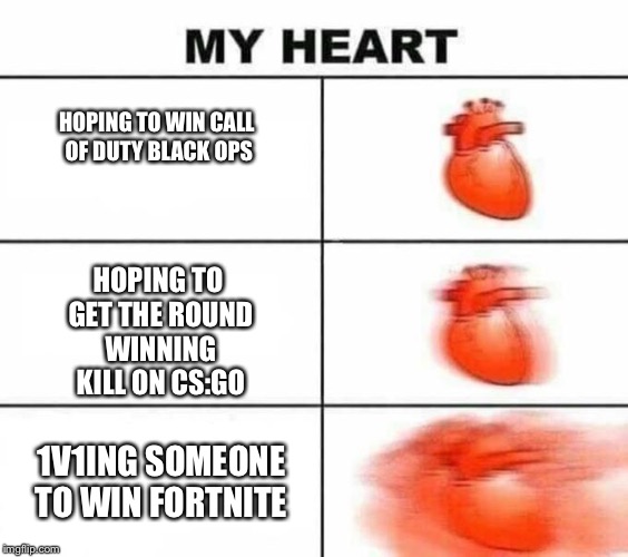 My heart blank | HOPING TO WIN CALL OF DUTY BLACK OPS; HOPING TO GET THE ROUND WINNING KILL ON CS:GO; 1V1ING SOMEONE TO WIN FORTNITE | image tagged in my heart blank | made w/ Imgflip meme maker